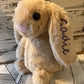 Stuffed monogrammed bunny